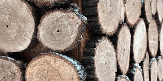 Елизаветино: Коттедж ГлампВиль