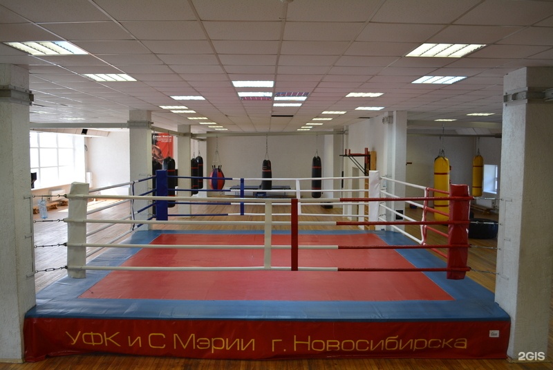 Школа бокса новосибирск. Мир бокса новосибирск троллейная. Школа олимпийского резерва бокс. Школа бокса новосибирск. Мир бокса новосибирск.