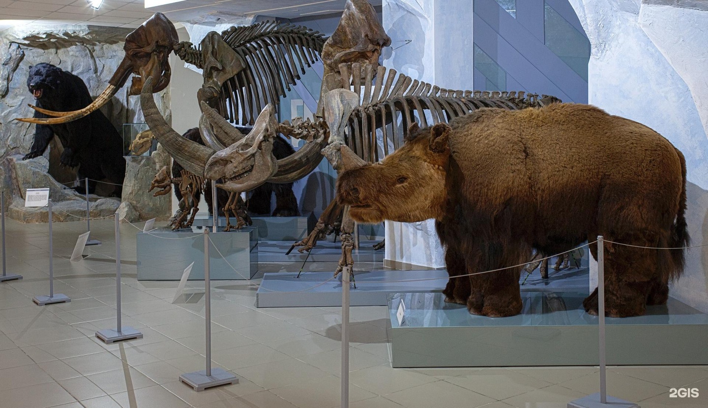 здание палеонтологического музея в москве