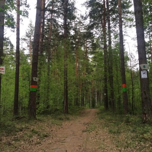 Фото от владельца Заельцовский, парк культуры и отдыха