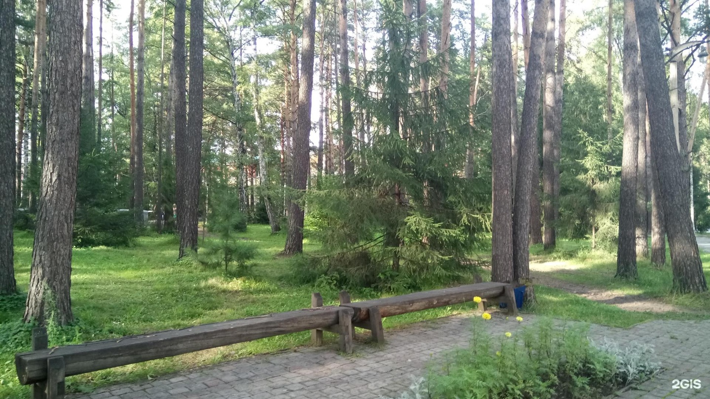 Пансионат великий новгород. Санаторий Сосновка Люберецкий район. Санаторий Сосновка Бердск. Сосновка Новгородская область санаторий. Санаторий Сосновка Череповец.