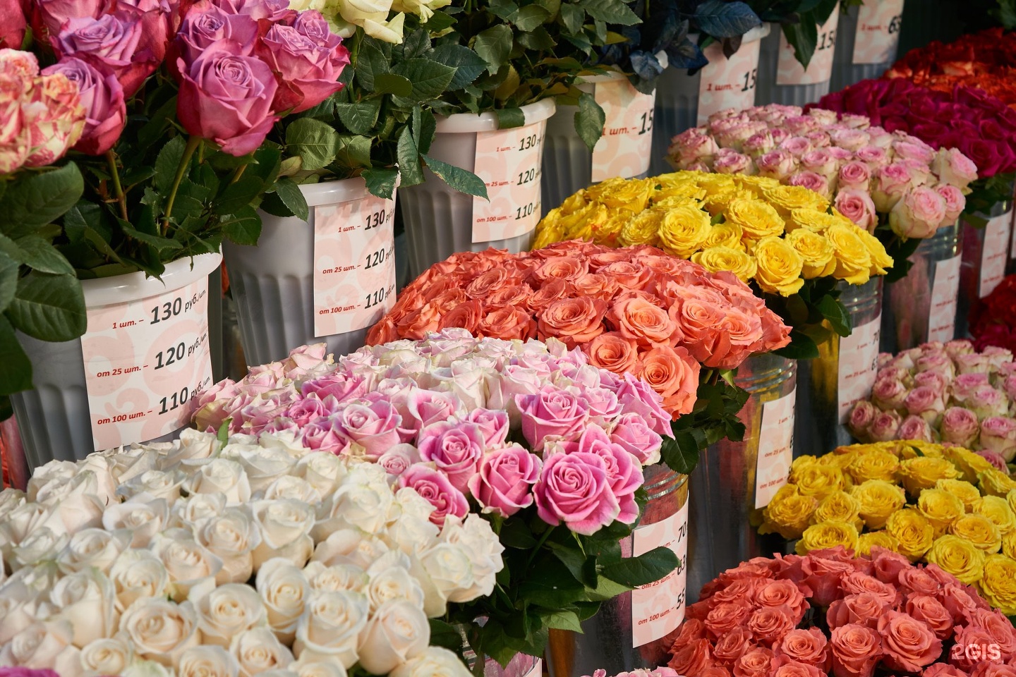 Купить розы в цветочном магазине. Цветы магазинные. Цветы в цветочном магазине. Цветочный склад. Оптовый склад цветов.