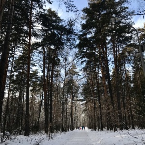 Фото от владельца Сосновый бор, парк культуры и отдыха