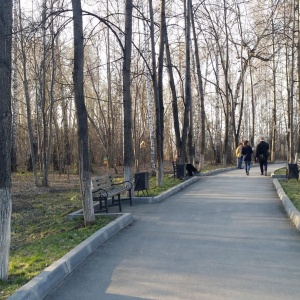 Фото от владельца Бугринская роща, парк культуры и отдыха