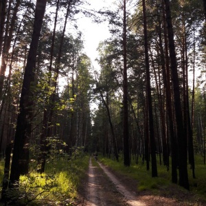 Фото от владельца Заельцовский, парк культуры и отдыха