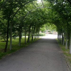 Фото от владельца Парк культуры и отдыха им. С.М. Кирова