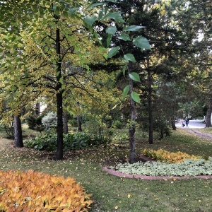 Фото от владельца Парк культуры и отдыха им. С.М. Кирова