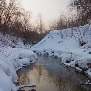 Фото от владельца Заельцовский, парк культуры и отдыха