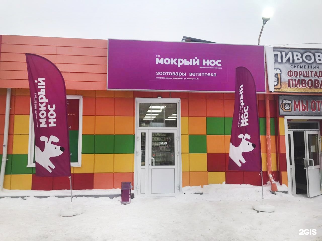 Мокрый нос зоомагазин. Мокрый нос зоомагазин. Магазин мокрый нос. Мокрый нос. Магазин мокрый нос новосибирск.