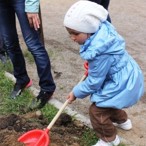 Фото от владельца Новый город, ОАО, финансово-строительная компания