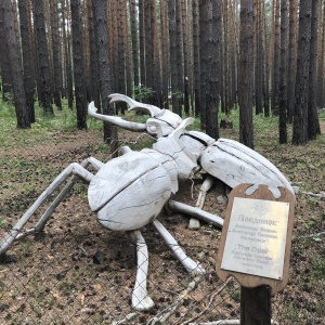 Фото от владельца Лукоморье, парк деревянных скульптур