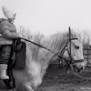 Фото от владельца ЛЕГЕНДА, конный клуб