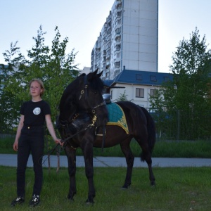 Фото от владельца ЛЕГЕНДА, конный клуб