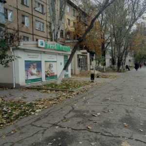 Фото от владельца АБ Південний, ПАТ, Суворовский район