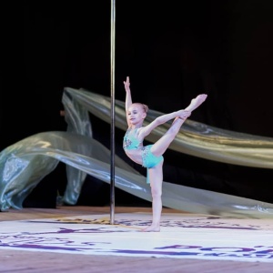 Фото от владельца VERTIGO Pole Dancing, студия танца на пилоне