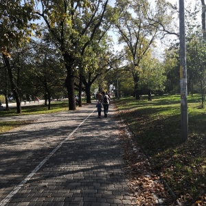 Фото от владельца Центральный парк культуры и отдыха им. Т. Шевченко