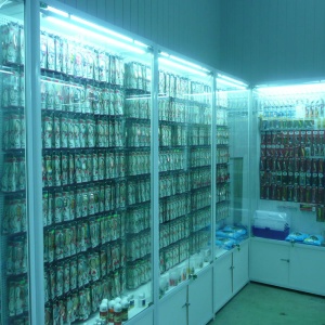 Фото от владельца РЫБОЛОВ-КОМПЛЕКТ, магазин товаров для активного отдыха