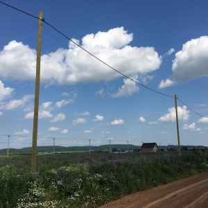 Фото от владельца Boldino Village, компания по продаже земельных участков