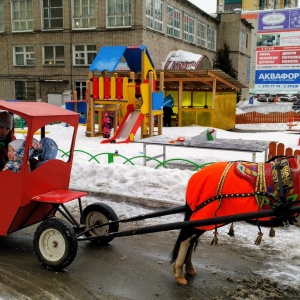 Фото от владельца Оранжевый котенок, частный детский сад