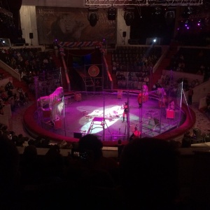 Фото от владельца Уфимский государственный цирк