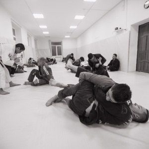 Фото от владельца Jungle BJJ, первая международная школа бразильского джиу-джитсу