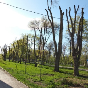 Фото от владельца Дружба, парк