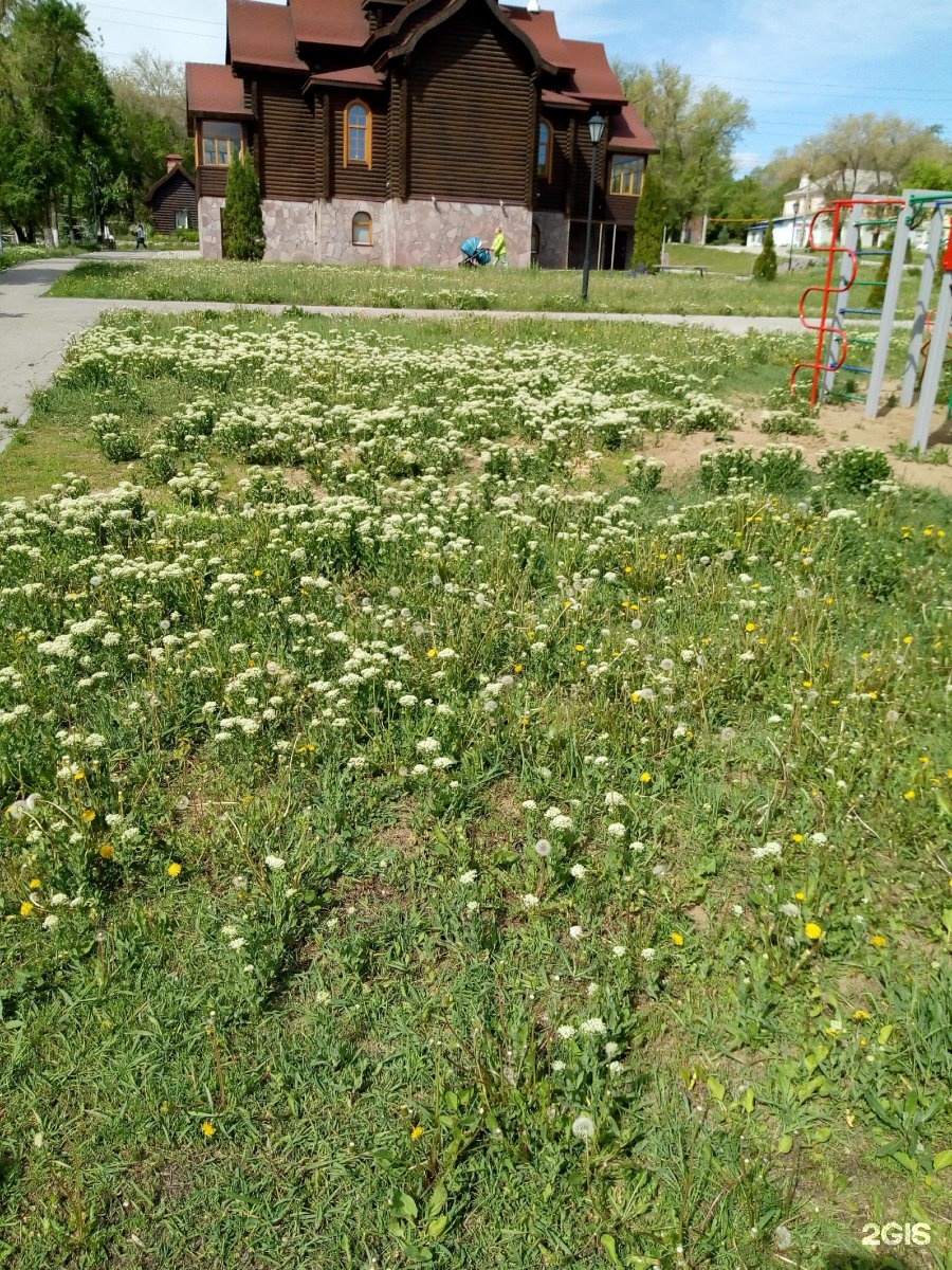 Улица дружбы парк. Парк дружбы Самара. Парк дружбы Пенза Заря.