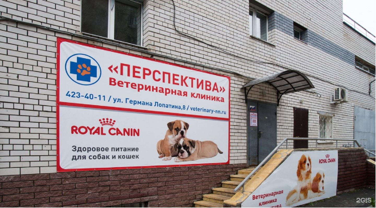 Панорама: Улица Германа Лопатина, 3к3 на карте Нижнего Новгорода - Яндекс Карты