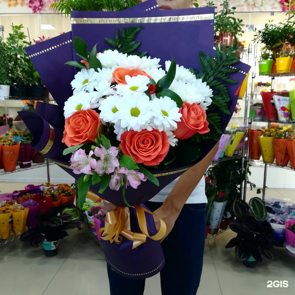 Заказ цветов камелия нальчика