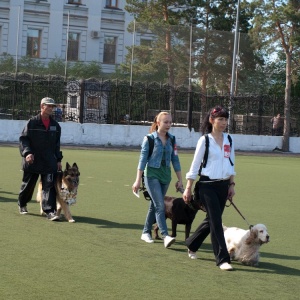 Фото от владельца Областной центр спортивно-служебного собаководства