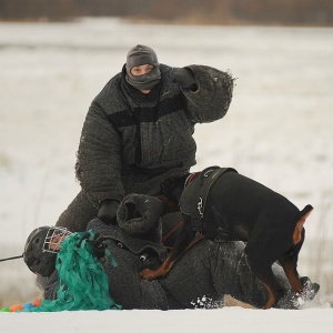 Фото от владельца Областной центр спортивно-служебного собаководства