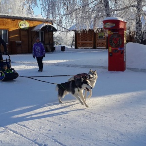 Фото от владельца Сказка, комплекс загородного отдыха