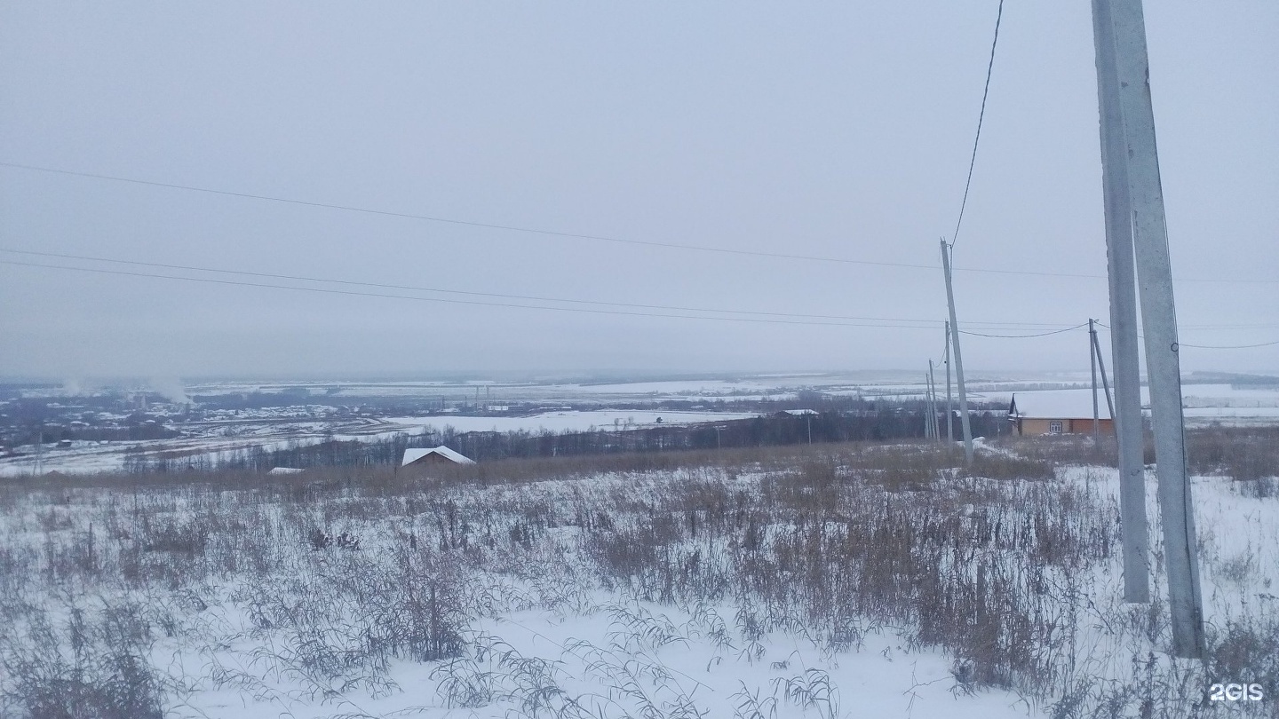 тсн раздолье.