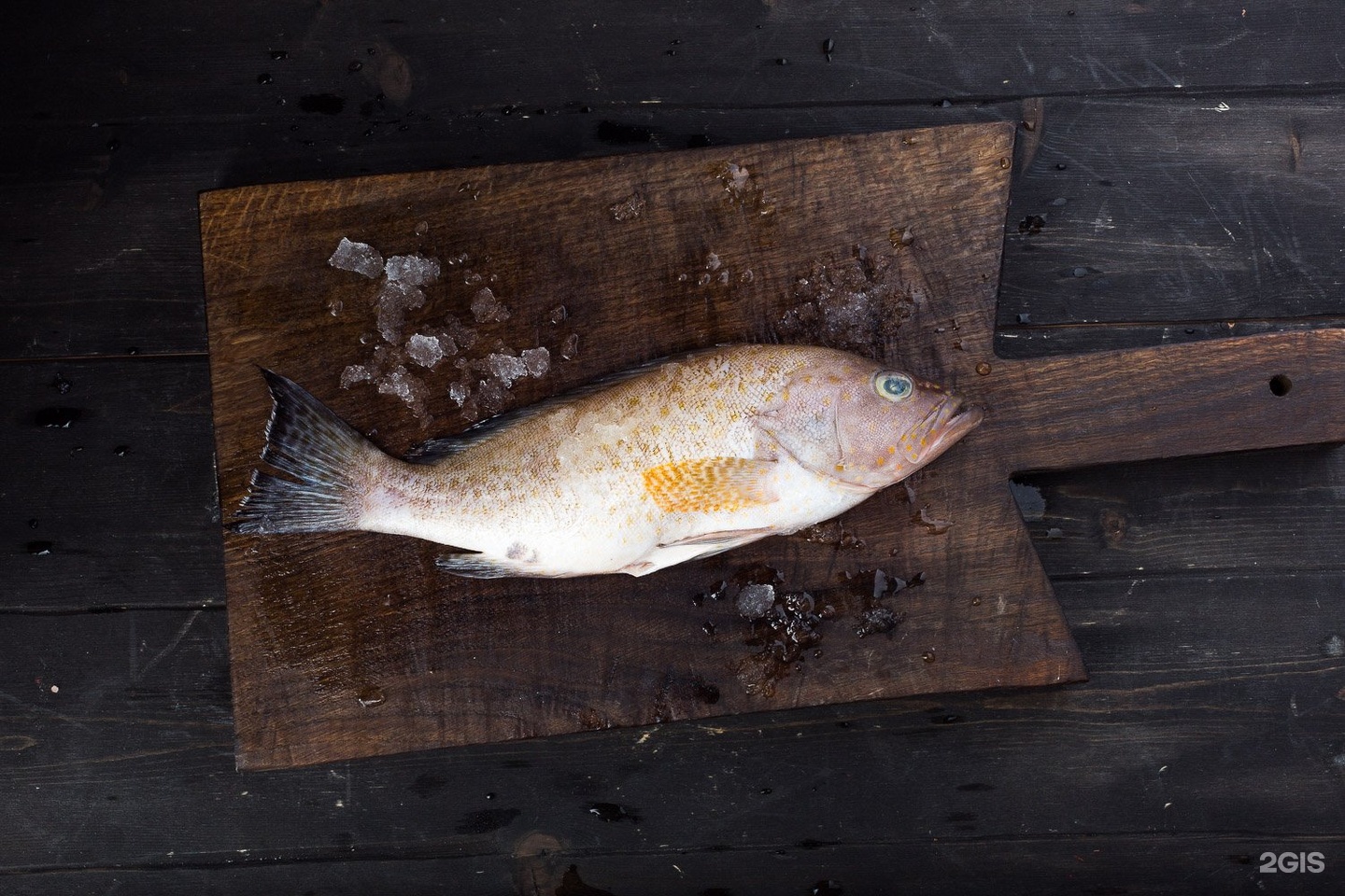 Рыба на шри ланке. Масляная рыба. Рыба из Императорского рациона. Рыбы Шри Ланки фото. Самая вкусная рыба на Шри Ланке.