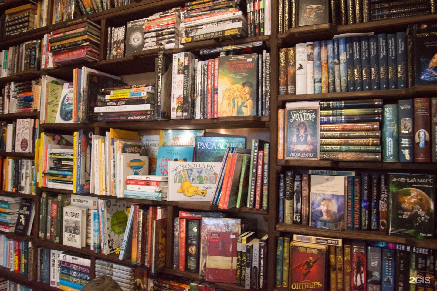 Книжный в краснодаре. Книжный магазин учёный кот. Кот учёный Краснодар.