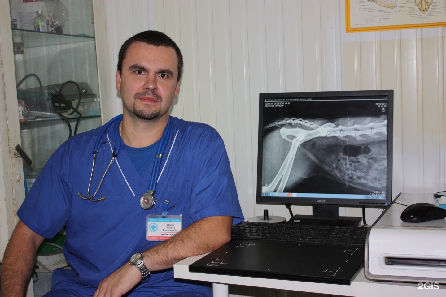 Доверие узи. Доктор Марков Ярославль ветеринар. Ветеринарная клиника доверие Краснодар Первомайская 43.