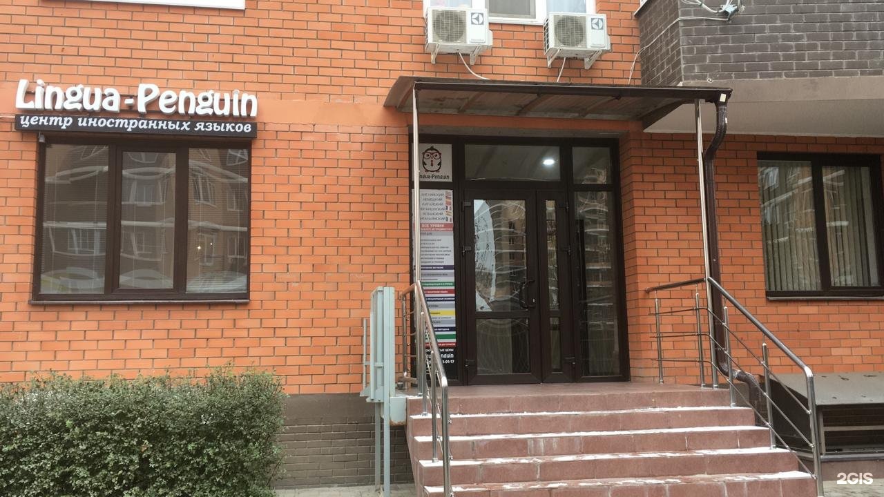 Язык краснодара. Марго Лингва.
