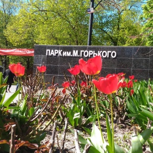 Фото от владельца Городской культурно-досуговый центр им. М. Горького