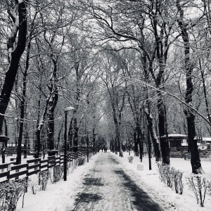 Фото от владельца Парк культуры и отдыха им. Н.А. Островского