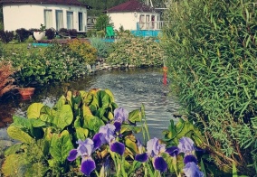 Турбаза Росстань в Республике Алтай