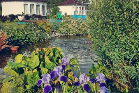 Усть-Сема: Турбаза Росстань