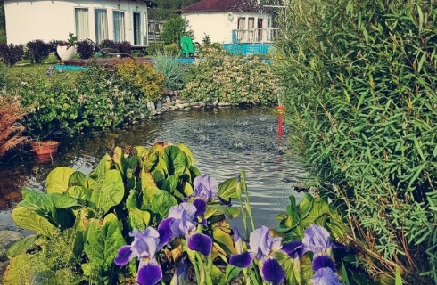 пос. Усть-Сема: Турбаза Росстань