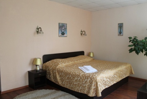 Ярославль: Отель Сказка