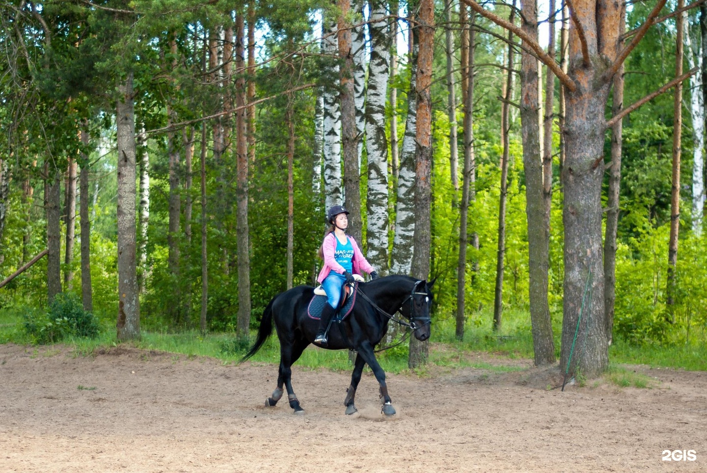 лошади в парке