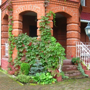 Фото от владельца Garden Group, ландшафтно-строительная компания