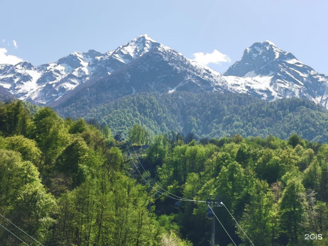 Светлана парк сочи фото