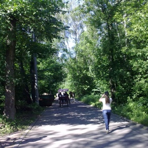 Фото от владельца Сокольники, парк культуры и отдыха