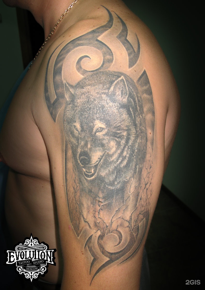 Волк на плечо мужские. Тату волк. Наколка волк на плече. Татуировка волка на плече. Тату волка на плече для мужчин.