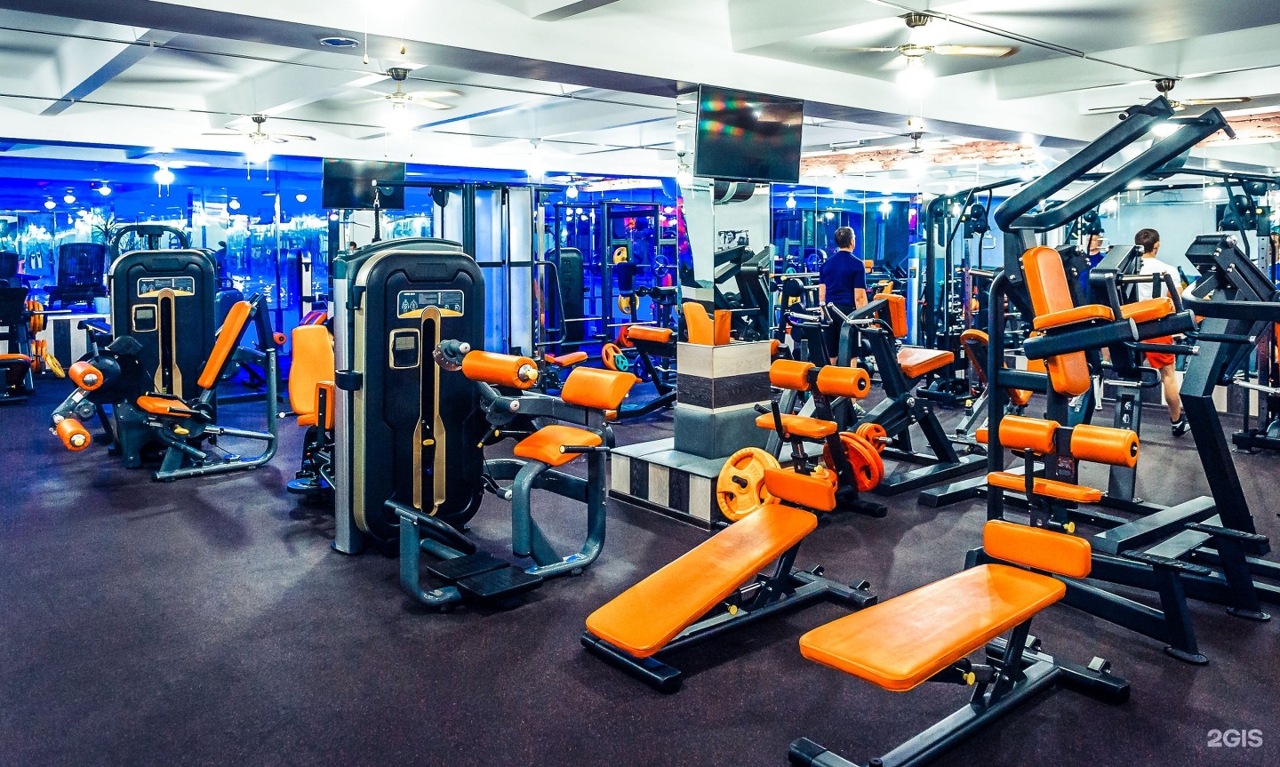 gym фитнес клуб