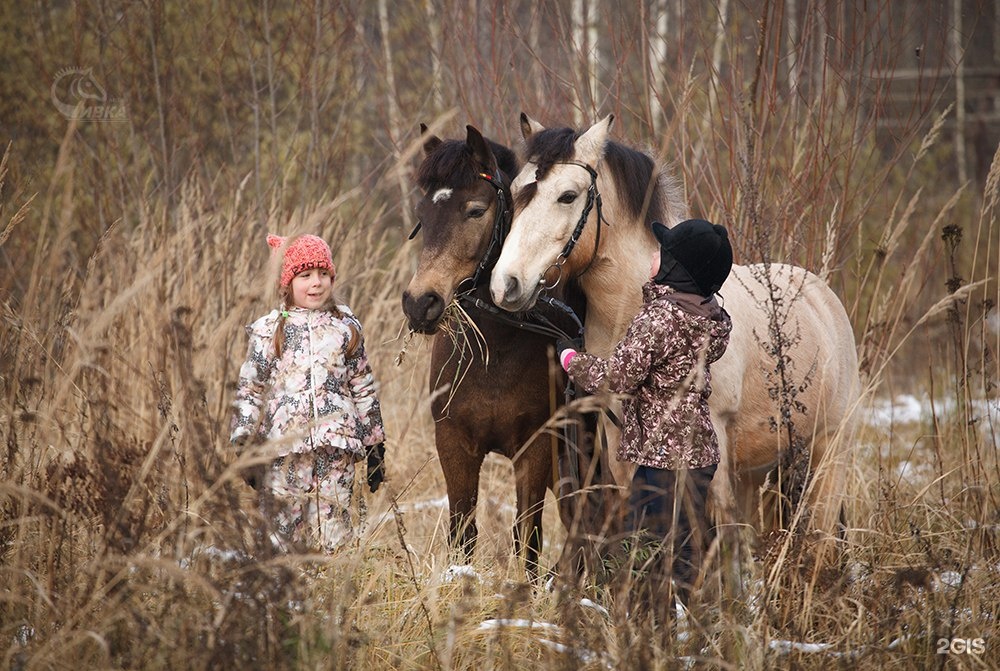 Конный клуб сивка. Сивка.